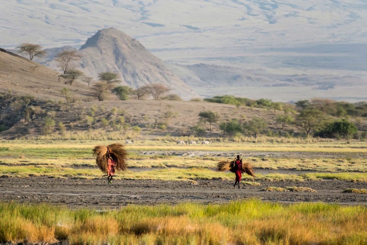 Maasai people in the fields ©Pajota Tanzania